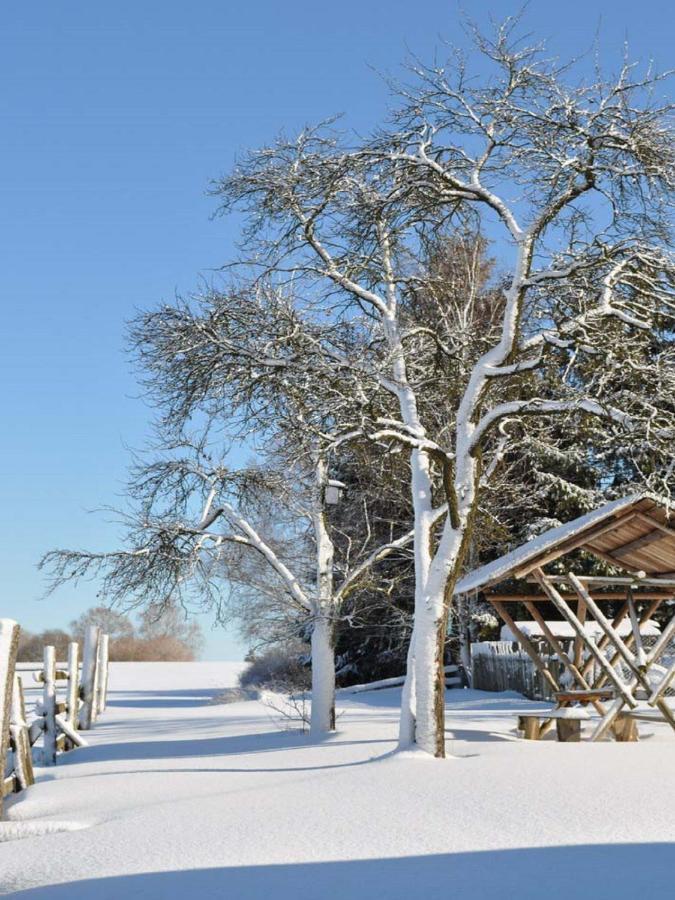 Apartmán Feriengut Dietzsch Poritzsch Exteriér fotografie